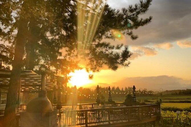 Heart of Willamette Winery Pass 2024: Wine Tastings and Discounts - Exploring Ankeny Vineyard’s Estate Wines and Live Music