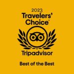 Heathrow Airport - To & From Central London - Meet & Greet - Heathrow Airport Meet & Greet: The First Step of Your London Trip