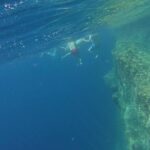 Hello Kornati - Private one day trip from Zadar - Exploring Lavdara Island and Mrtovac for Refreshing Swims