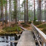 Helsinki: Nuuksio National park hiking with campfire lunch - The Scenic Trails and Panoramic Views of Nuuksio