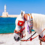 Heraklion Areas:Rethymno,Chania & Lake Kournas Full-Day Tour - Exploring Rethymno’s Historic Charm