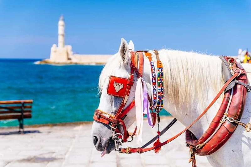 Heraklion Areas:Rethymno,Chania & Lake Kournas Full-Day Tour - Exploring Rethymno’s Historic Charm