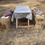 Heraklion :Olive & Dragon Farm Tour & Cretan Farmers Brunch - Discover the Olive Tree Cultivation Process in Crete