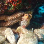 Heraklion: Try Scuba Diving - Heraklion’s Central Location and Easy Access