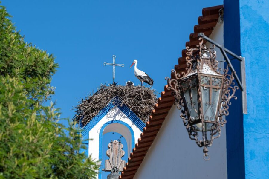 Herdade da Comporta Private Selection Winetasting - Exploring the Herdade da Comporta Winery and Its Terroir