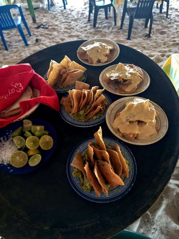 Hermosa Isla de ixtapa - Starting the Day: Pickup and Briefing at Playa Linda