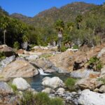 Hidden Waterfalls Hiking Adventure - Exploring Baja’s Hidden Waterfalls with a Private Guide