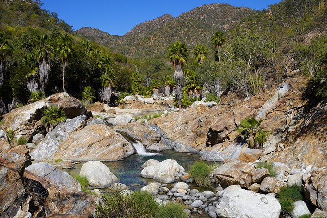 Hidden Waterfalls Hiking Adventure - Exploring Baja’s Hidden Waterfalls with a Private Guide
