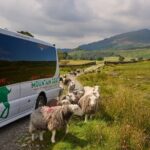 High Adventure: Mountain Passes & Muncaster Castle from Oxenholme - Exploring Muncaster Castle and Its Grounds