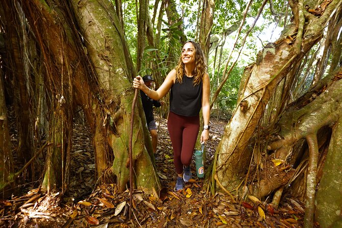Hike Honolua Ridgeline - The Honolua Ridgeline Hike: What to Expect