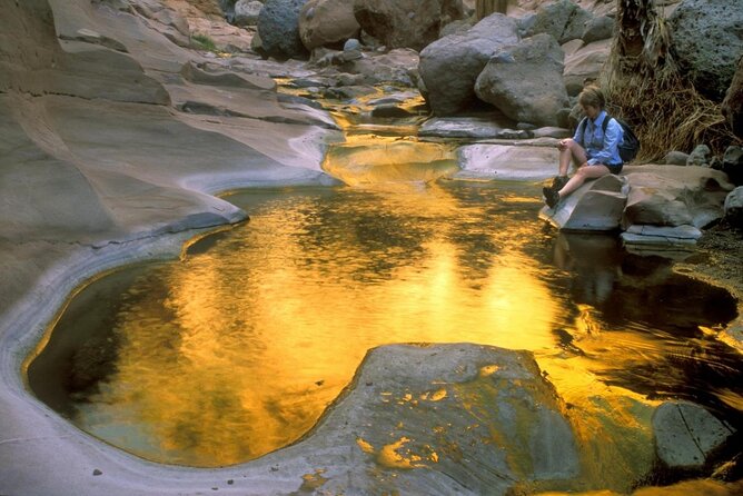 Hike the native Pericu road in Sierra de la Laguna. - Water Springs and Canyon Adventures
