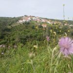 Hike & Wine Ericeira - Exploring Cheleiros: A Historic Wine Village