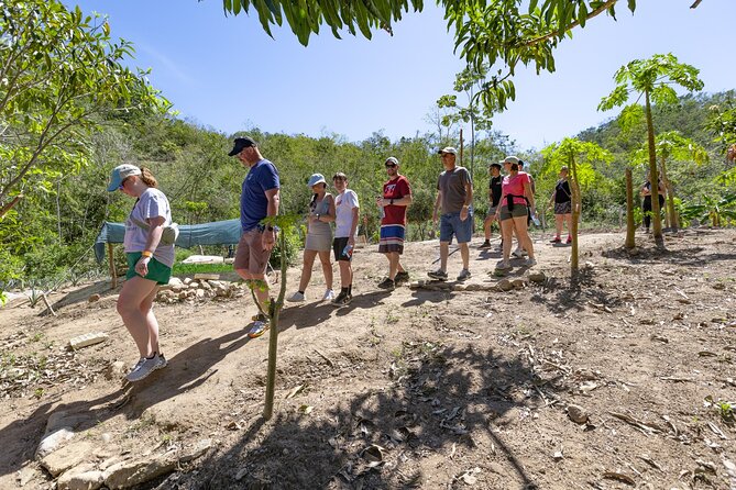 Hiking Adventure in Puerto Vallarta - Starting at the Vallarta Botanical Garden to Discover Exotic Plants