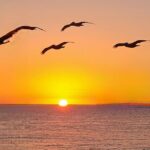 Hiking and Adventure from Napanee to Bon Echo Provincial Park - Up Close and Personal at Hickory Lane Alpaca Farm