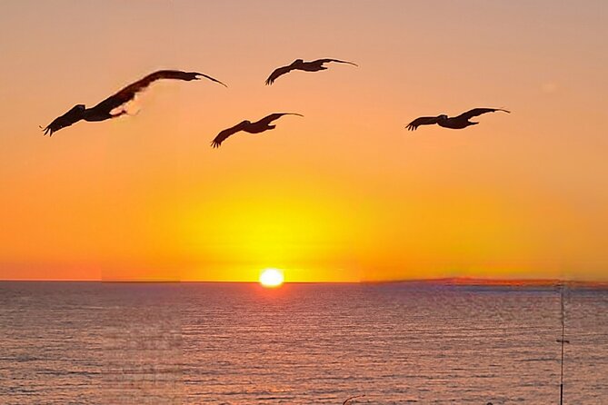 Hiking and Adventure from Napanee to Bon Echo Provincial Park - Up Close and Personal at Hickory Lane Alpaca Farm