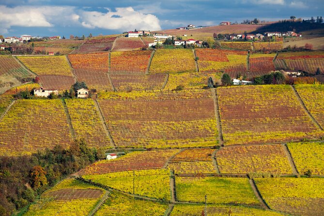 Hiking and wine tour starting from Alba - Exploring Alba’s Vineyards and Hills