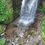 Hiking in Batumi ( Mtirala National Park) - Exploring Chakvistavi and Its Local Flavors