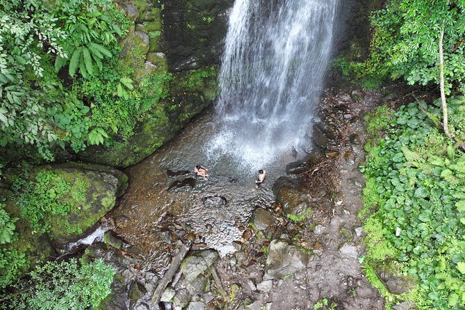 Hiking in Batumi ( Mtirala National Park) - Exploring Chakvistavi and Its Local Flavors