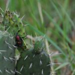 Hiking in Benito Juárez National Park - Starting Point at Jardín Conzatti
