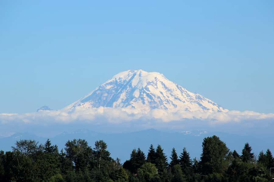 Hiking in Mount Rainier Private Tour from Seattle - Comfortable Transportation and Flexibility
