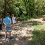 Hiking in Polilimnio Waterfalls - Exploring the Waterfalls and Lakes