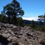 Hiking in Tenerife's Great Outdoors - From the Pick-Up to the Departure: Easy Logistics