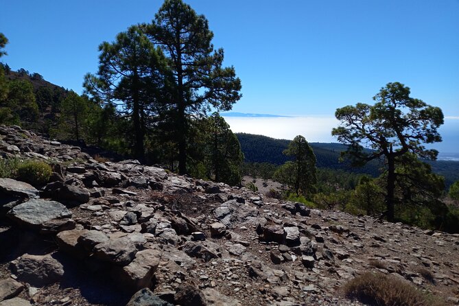Hiking in Tenerife's Great Outdoors - From the Pick-Up to the Departure: Easy Logistics