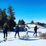 Hiking in the Rockies - Group hike tour near Denver - From the Denver Meeting Point to the Rocky Mountain Trails