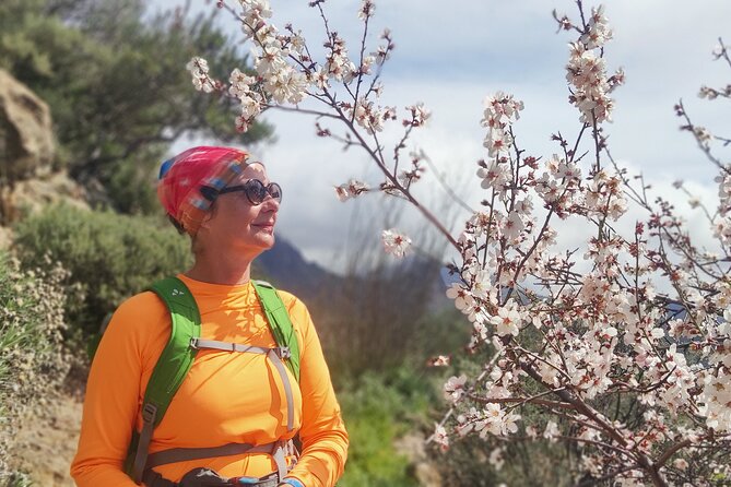 Hiking in the Sacred Mountains of Gran Canaria: UNESCO - Stepping into the Pre-Hispanic Past at La Caldera de Tejeda