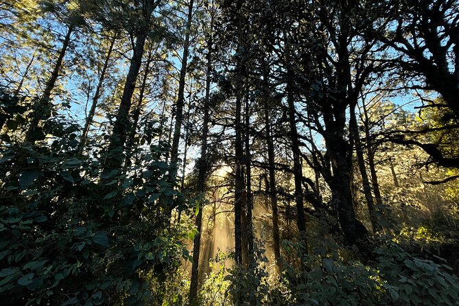 Hiking in the Sierra Norte of Oaxaca - Starting the Day in Cuajimoloyas and the Pueblos Mancomunados
