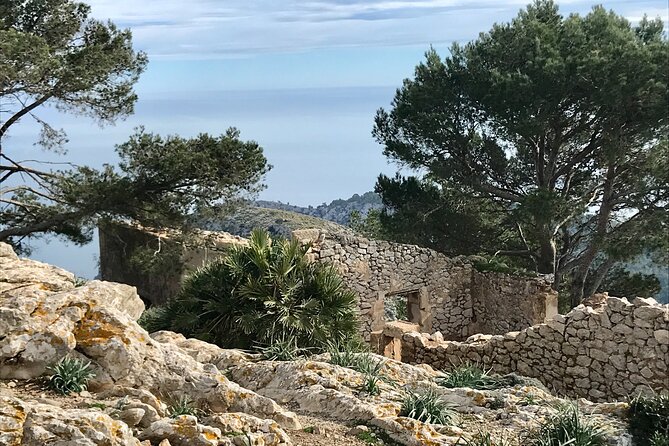 Hiking on Alcudia Peninsula - Steep Descent into Torrent de sAladernar Gorge