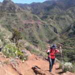 Hiking tour in the Anaga biosphere reserve in Tenerife - Exploring the Unique Flora: Endemic Plants and Forests