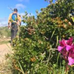 Hiking tour to Highest Limestone Cliff in Europe - The Ridge Path and Secluded Ocean Views
