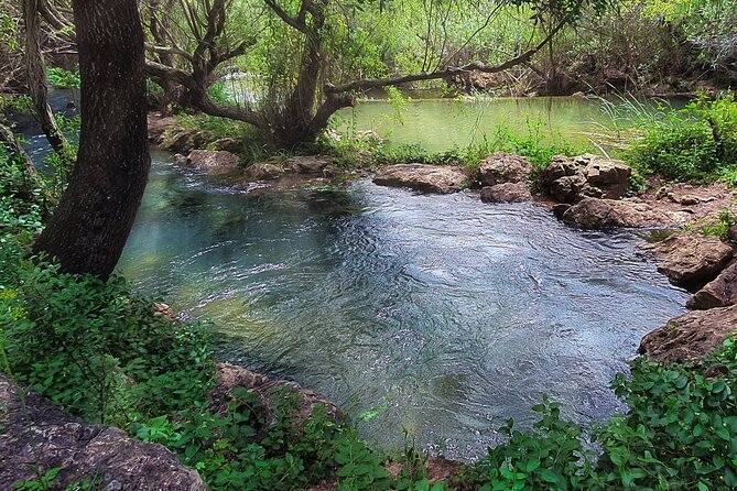 Hills & Thrills: 4 Hr Fonte da Benémola Electric Motorbike Tour - Riding Through the Hills and Valleys of Fonte Benémola