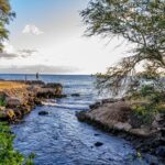 Hilo Finest Waterfalls and Town Tour - Iconic Waterfalls: Rainbow and Akaka