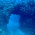 Hilo: Night Dive for Certified Divers - What Makes the Night Dive in Hawaii Unique