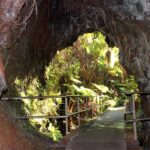Hilo Shore Excursion: Active Volcano, Lava Tube, Waterfall and Gardens - Visiting Thurston Lava Tube in a Rainforest Setting