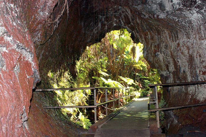 Hilo Shore Excursion: Active Volcano, Lava Tube, Waterfall and Gardens - Visiting Thurston Lava Tube in a Rainforest Setting