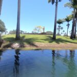 Hilo: Wailoa River to King Kamehameha Guided Kayaking Tour - Meeting Point and Practicalities in Hilo