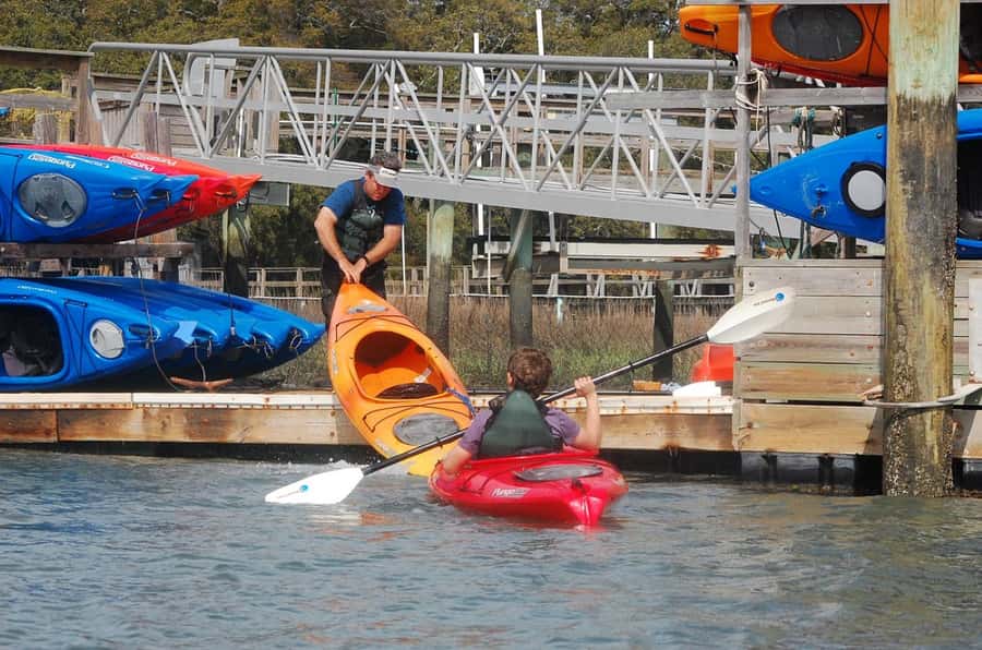 Hilton Head: 2-Hour Kayak Dolphin Nature Tour - Exploring Hilton Head’s Marshes and Estuaries