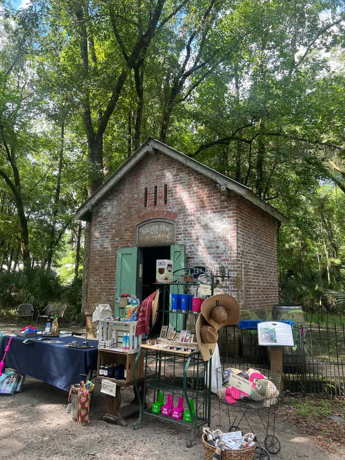 Hilton Head: Daufuskie Island History & Artisans Tour - The Journey Begins at Shelter Cove Marina