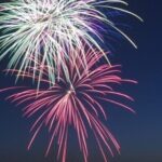 Hilton Head Dolphin Watching Cruise with Fireworks Display - Practical Details and Meeting Points