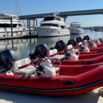 Hilton Head Guided Dolphin Watching & Sightseeing Tour via Mini Boat - Drive Your Own Mini Boat for a Personalized Water Adventure
