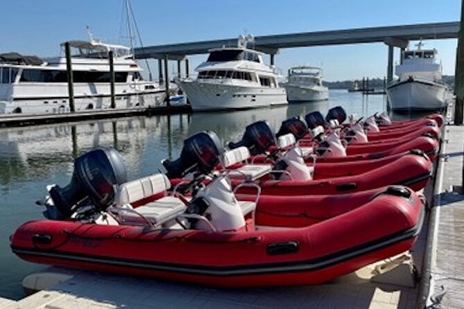 Hilton Head Guided Dolphin Watching & Sightseeing Tour via Mini Boat - Drive Your Own Mini Boat for a Personalized Water Adventure