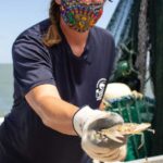 Hilton Head Island: Crabbing Expedition Boat Tour - What Happens During the Crabbing Expedition