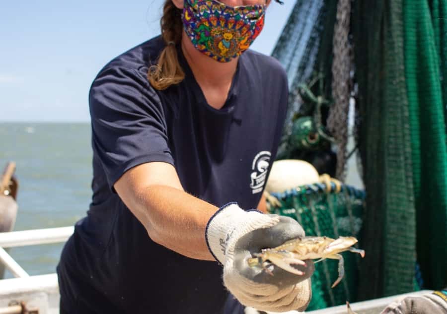 Hilton Head Island: Crabbing Expedition Boat Tour - What Happens During the Crabbing Expedition