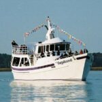 Hilton Head Island Dolphin Watching Nature Cruise - Wildlife Encounters in Hilton Head Waters