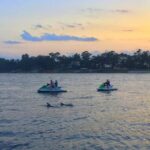 Hilton Head Island Jet Ski Adventure - Wildlife Watching and Scenic Views During the Ride