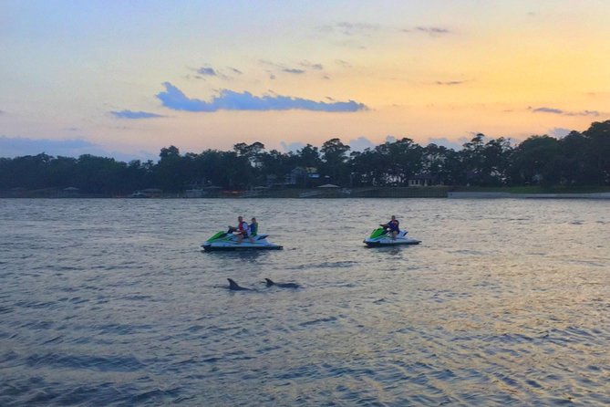 Hilton Head Island Jet Ski Adventure - Wildlife Watching and Scenic Views During the Ride