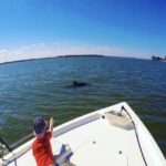 Hilton Head Island: Private Dolphin Watching Boat Tour - What Makes This Dolphin Tour Unique